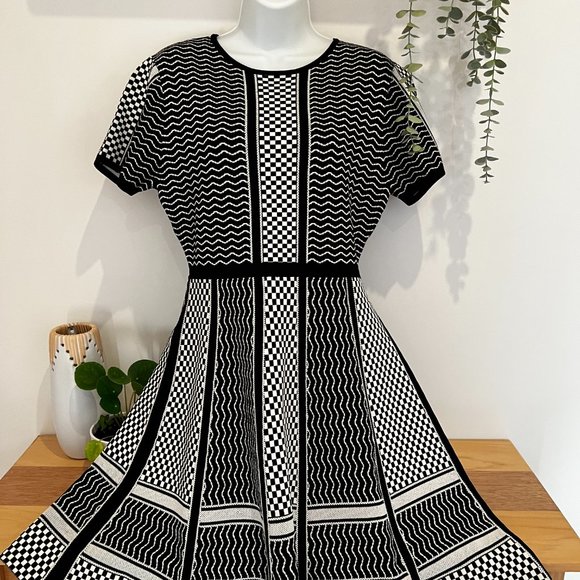 ZARA WOMENS SIZE M SHORT SLEEVE DRESS BLACK / WHITE BNWT (22-093) - Picture 4 of 15